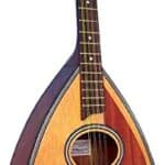 Blue Moon BB-12 Bouzouki