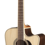 Takamine- GD51CE